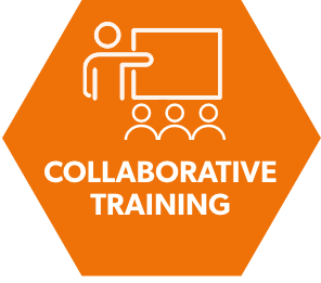 Collaborative training